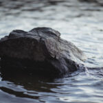 打ち砕かれた心を包む