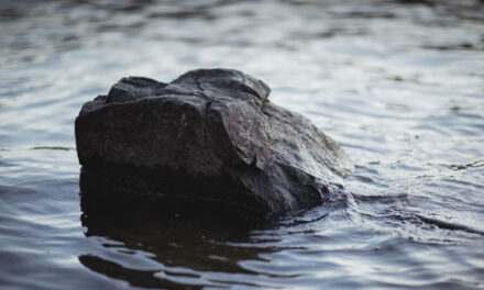 打ち砕かれた心を包む