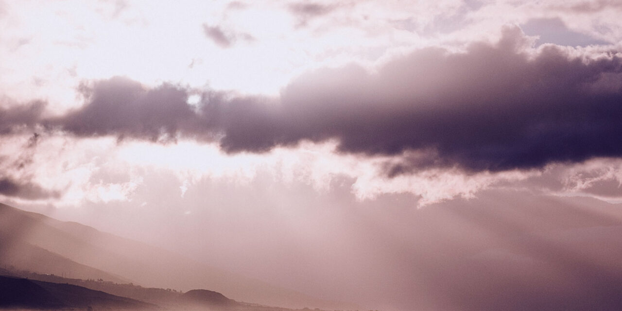 それでも光はあった