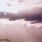 それでも光はあった