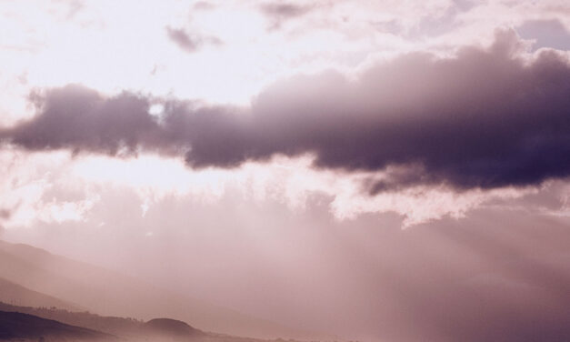 それでも光はあった